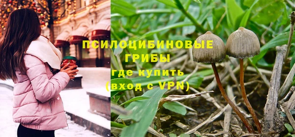 эйфоретик Покачи