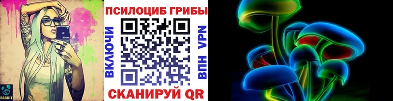 купить наркотик  Верхняя Салда  Псилоцибиновые грибы прущие грибы 