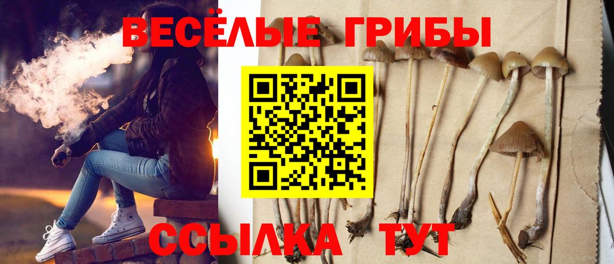 Галлюциногенные грибы мухоморы  Верхняя Салда 