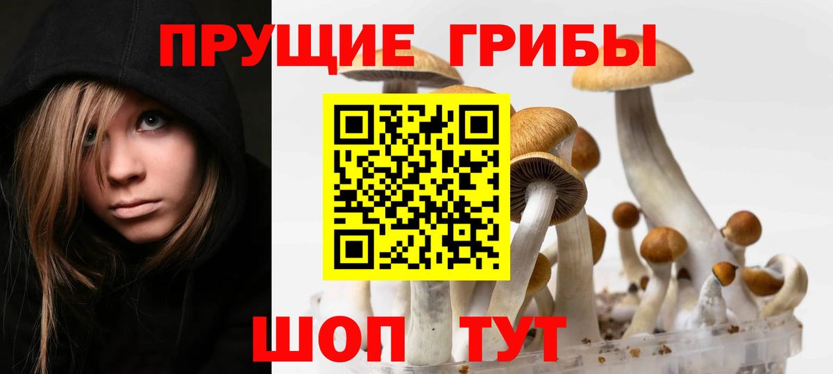 Галлюциногенные грибы мухоморы  Вход с VPN  Верхняя Салда 